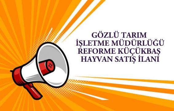 GÖZLÜ TARIM İŞLETME MÜDÜRLÜĞÜ REFORME KÜÇÜKBAŞ HAYVAN SATIŞ İLANI