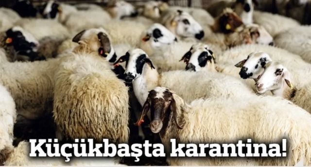 BİGA’DA 17 KÖY KARANTİNAYA ALINDI